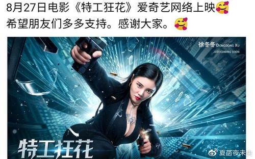 做假马尔代夫护照
